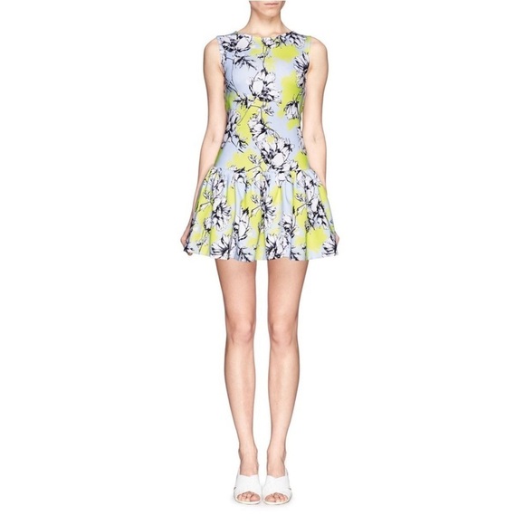 TORN BY RONNY KOBO BRADY FLORAL YELLOW MINI FIT FLARE DROP WAIST DRESS SZ S - Picture 7 of 14